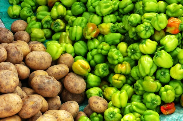 Potato and pepper — Stock Photo, Image
