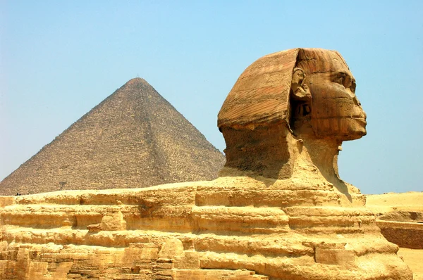 Szfinx Giza Piramis előtt — Stock Fotó