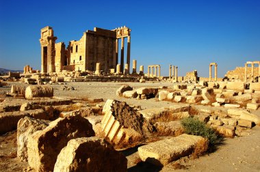 Relics of Palmyra in Syria clipart