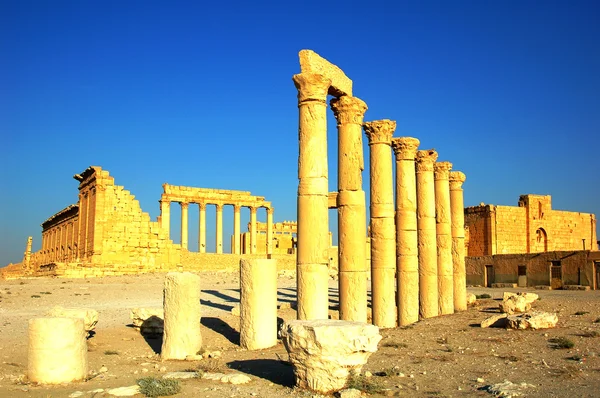 シリアのパルミラの遺跡 — ストック写真