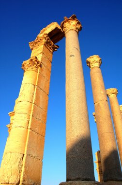 Palmyra Suriye emanetler