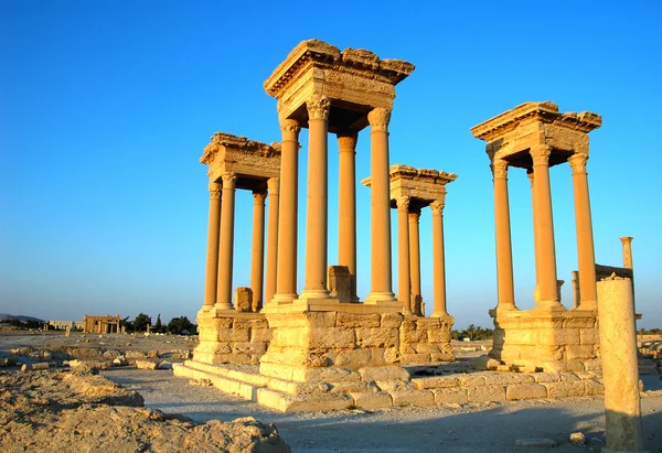 Мощі Пальміри в Сирії — стокове фото