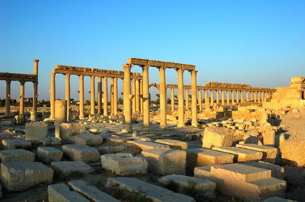 シリアのパルミラの遺跡 — ストック写真