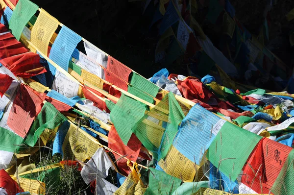 Tibet 'te dua bayrakları — Stok fotoğraf