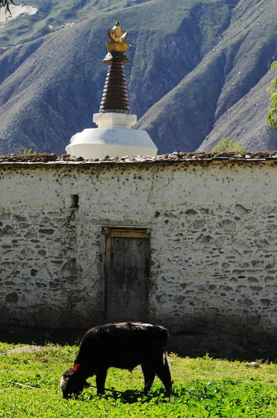 Paisaje en el Tíbet — Foto de Stock