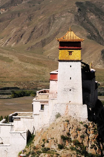 Tibetanska fornborg — Stockfoto