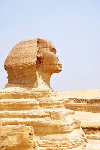 Sfenks, Kahire, Mısır — Stok fotoğraf