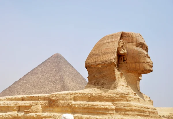 Sphinx in cairo, Egypte — Stockfoto