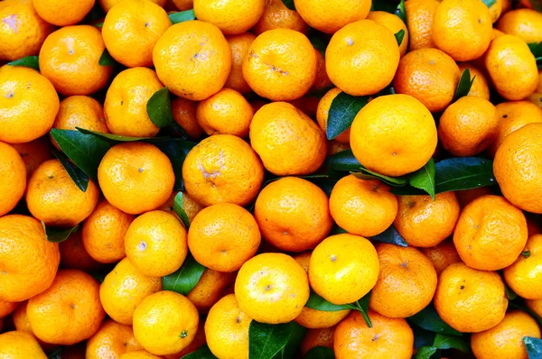 Orangen — Stockfoto