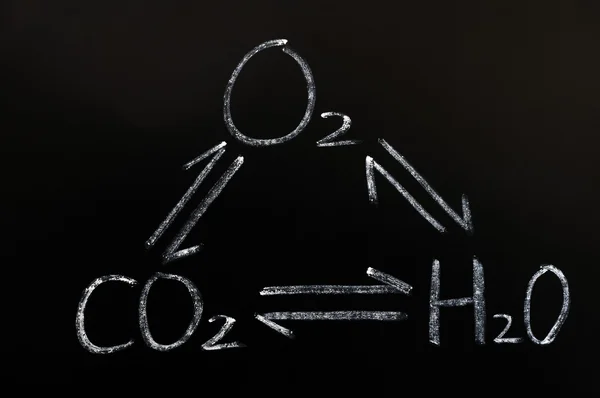 Wechselwirkung von Sauerstoff, Kohlendioxid und Wasser — Stockfoto