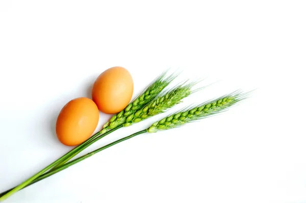 Zielona pszenica uszy i jaj — Zdjęcie stockowe