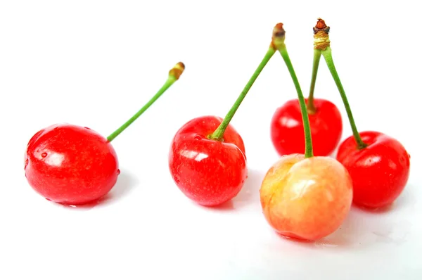Cherry fruits — Stock Photo, Image