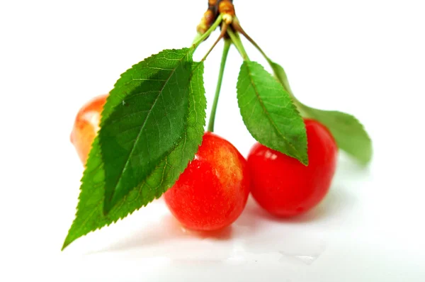 Frutas de cereja — Fotografia de Stock