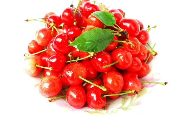 Frutti di ciliegia rossa su sfondo bianco — Foto Stock