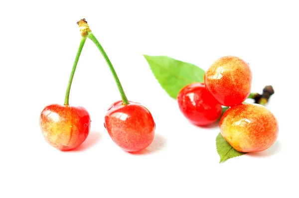 Red cherry fruits on a white background — Stock Photo, Image