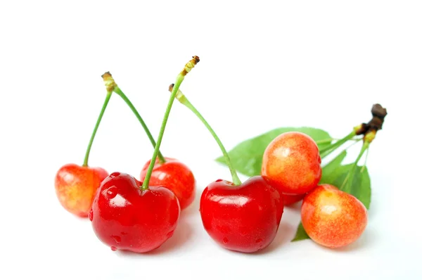 Frutti di ciliegia rossa su sfondo bianco — Foto Stock
