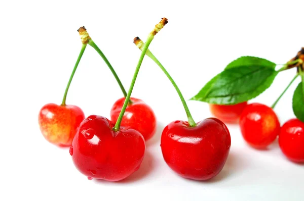 Frutas rojas de cereza sobre fondo blanco — Foto de Stock