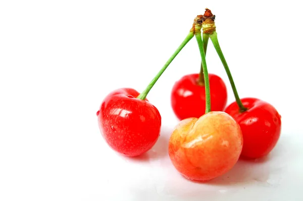 Frutos de cereja vermelha em um fundo branco — Fotografia de Stock