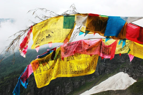 Σημαίες του Θιβέτ προσευχή — Φωτογραφία Αρχείου