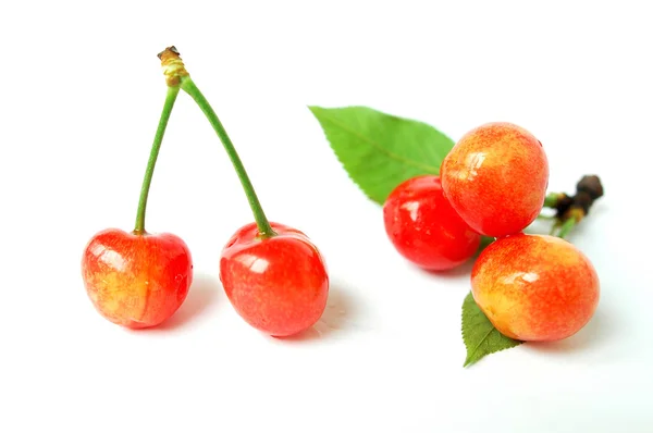 Frutos de cereja vermelha em um fundo branco — Fotografia de Stock