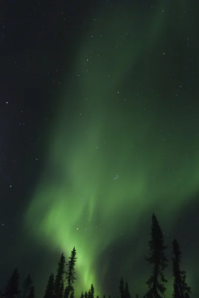 Nordlicht — Stok fotoğraf