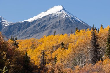 Kluane Milli Parkı