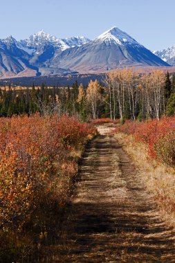 Kluane Milli Parkı