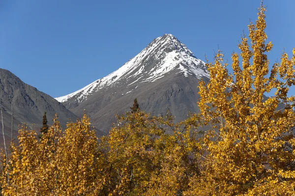 St. elias góry — Zdjęcie stockowe