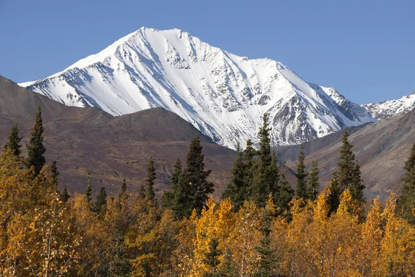Montanhas St. Elias — Fotografia de Stock