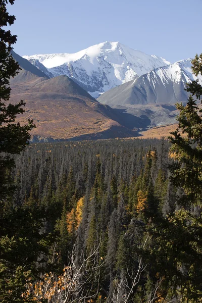 St. Elias Mountains — Stock fotografie