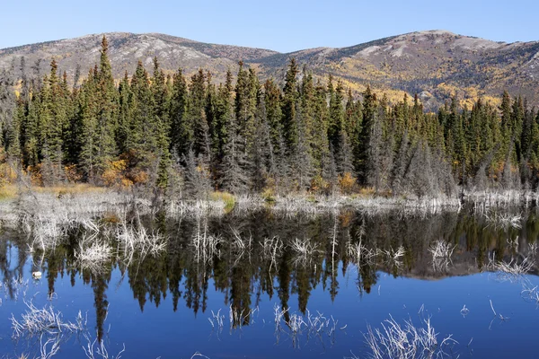 Jezioro kluane — Zdjęcie stockowe