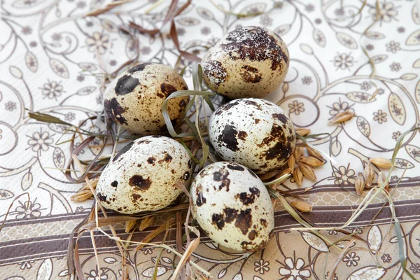 Quail eggs in the straw. — Stock Photo, Image