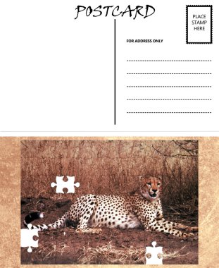 boş boş kartpostal şablon Afrika çita puzzle resim