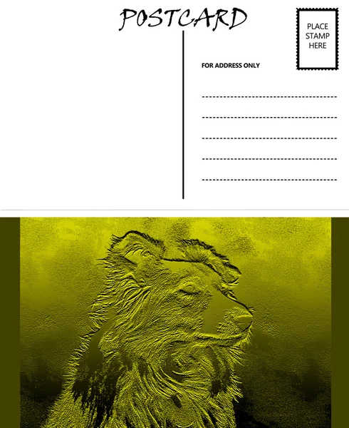 Пустой бланк шаблона открытки Collie Dog — стоковое фото