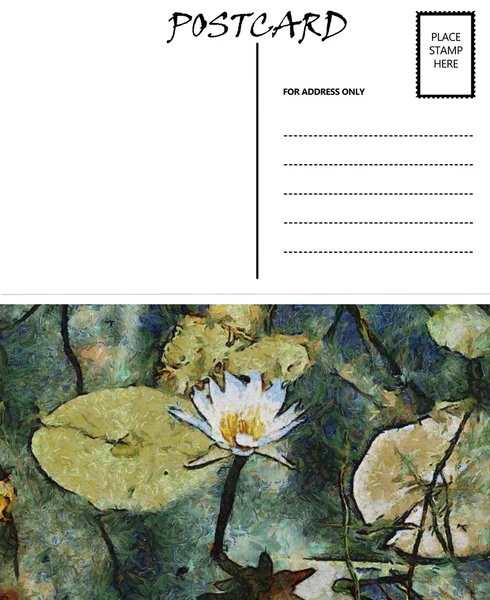 Modèle de carte postale vide Image Lilly de l'eau — Photo