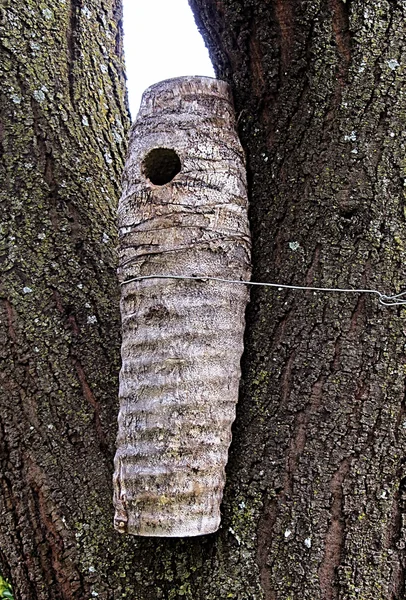 Sisal Nesting Log for Woodpeckers — Stock Photo, Image