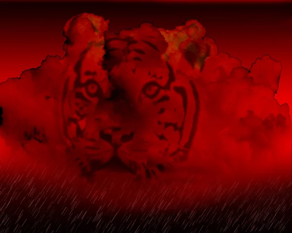 Lluvia de nubes de tormenta roja ardiente con cara de tigre — Foto de Stock