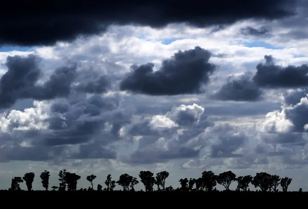 Afrika zonsondergang zonsopkomst met aard silhouet — Stockfoto