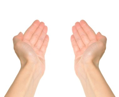 Two hands clipart