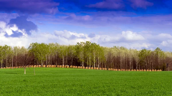 Idyllic rural landscape, with clouds. — Stock Photo, Image
