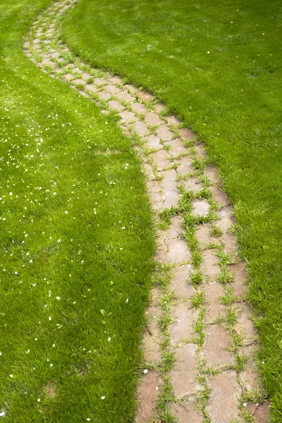 A grama verde para o caminho que corre . — Fotografia de Stock