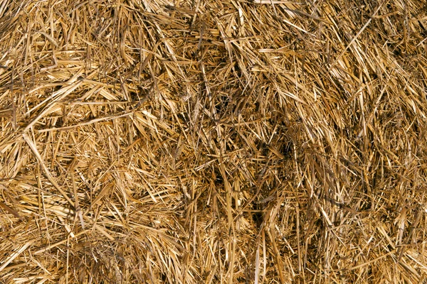 stock image Straw bale arranged.