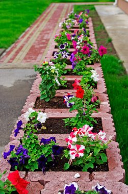 Flower bed and lawn near office buiding. Selective focus. clipart