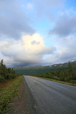 bergen oslo yolu. Norveç, İskandinav Avrupa.