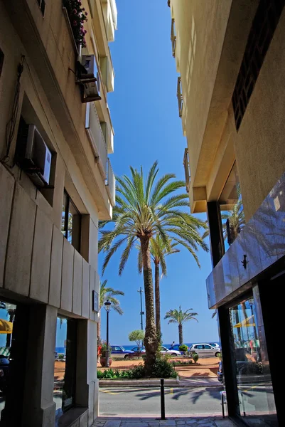 Palm between hotels. Mediterranean city Lloret de Mar, Spain. — Stock Photo, Image
