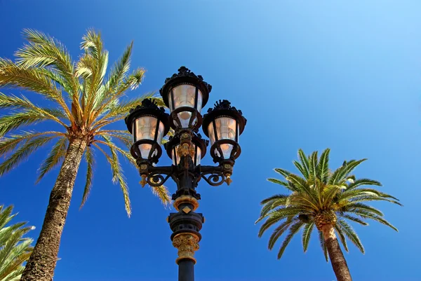Stary styl ulicy światła pośród palm. — Zdjęcie stockowe