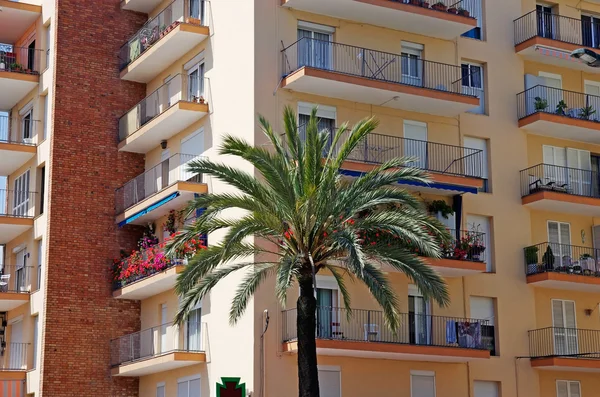 Green palm, hotel and luxury apartments in Lloret de Mar, Spain. — Stock Photo, Image