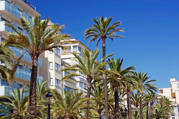 Groene palmbomen, hotels en luxeappartementen in lloret de mar, spai — Stockfoto