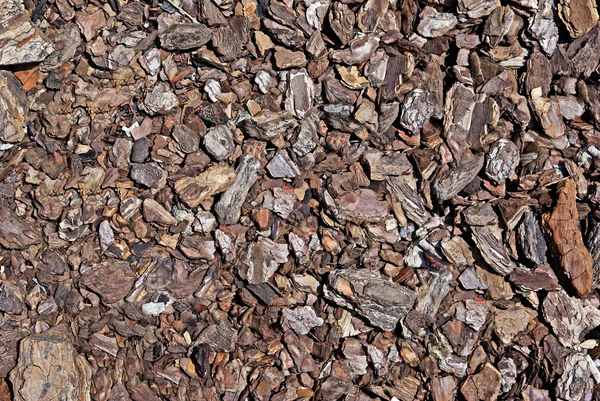 Corteza marrón triturada como decoración para jardín. Bueno como fondo —  Fotos de Stock