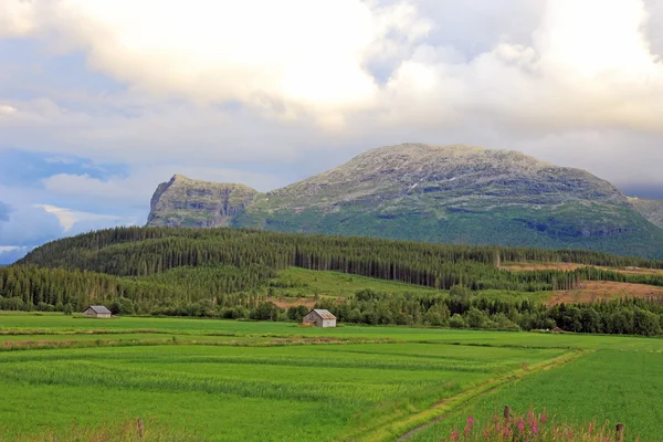 Pequenas casas de fazenda no vale. Paisagens da Noruega . — Fotografia de Stock